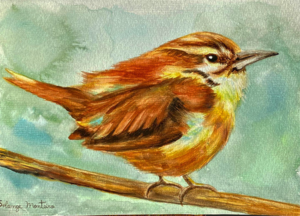 Passarinho - Aquarela